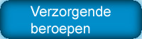v.b. Schoonheidsspecialist(e), (thuis)Kapper, Manicure, Pedicure, Nagestyliste, Visagiste, Grimeur, Masseur